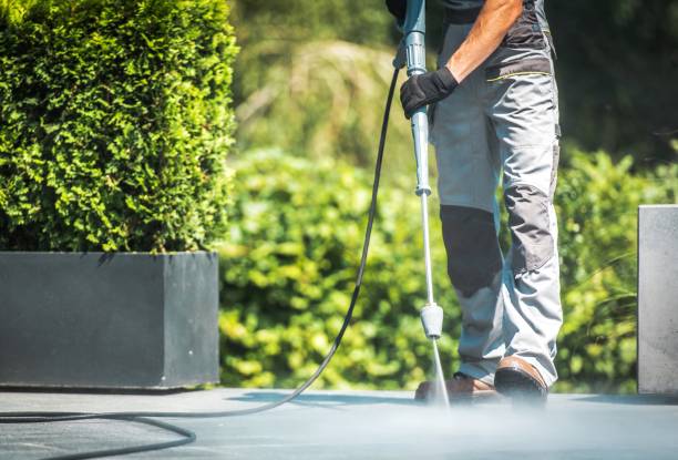 Best Gutter Cleaning  in Cabool, MO